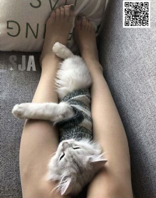 免费看爱爱_BD免费观看电视剧
